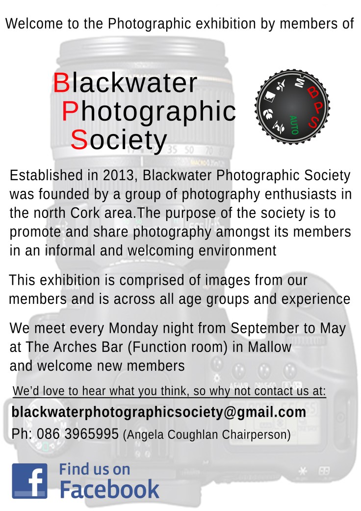 Library poster final