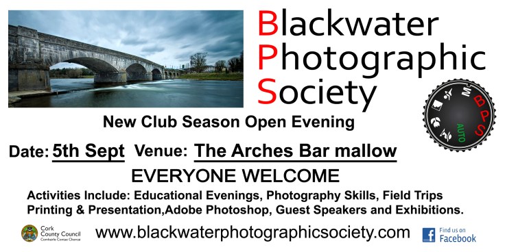 FB Bridge Banner small1